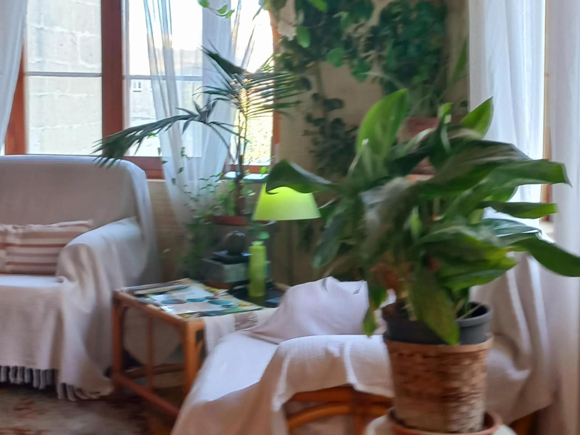 Ta' Didi B&B Kercem Bagian luar foto