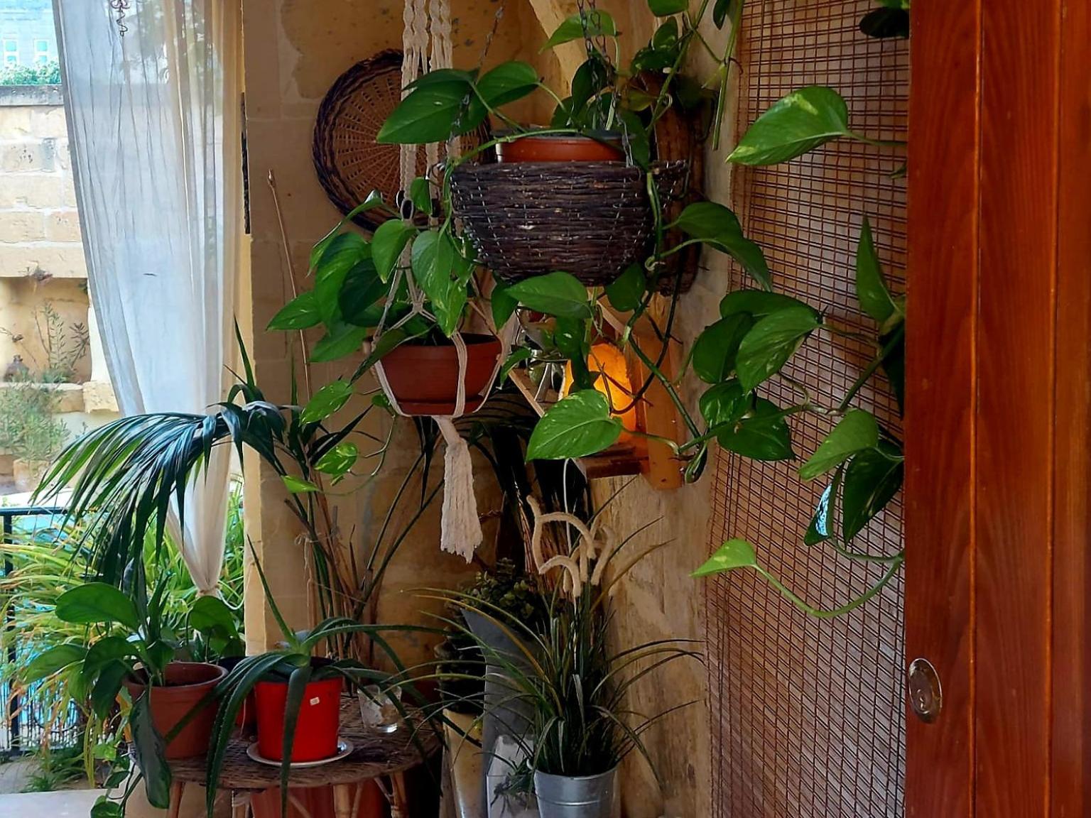 Ta' Didi B&B Kercem Bagian luar foto